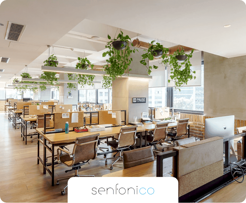 Kolektif House iş ortaklarından Senfonico'nun promosyonel logo görseli