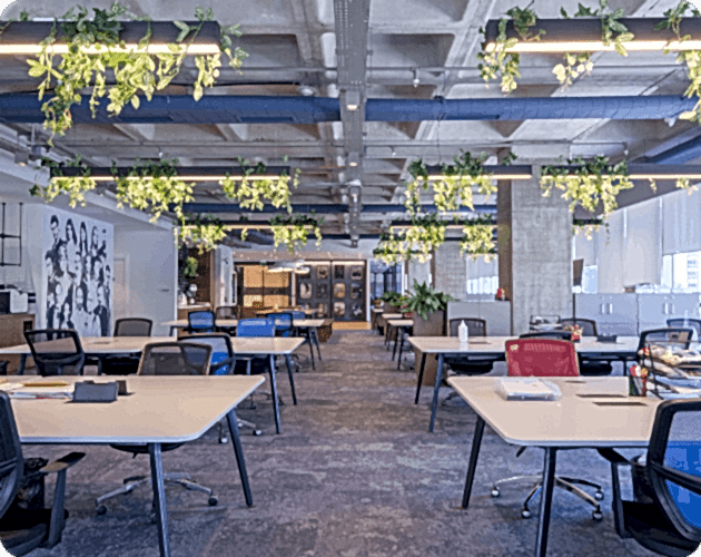 Kolektif House İşbirliği 3