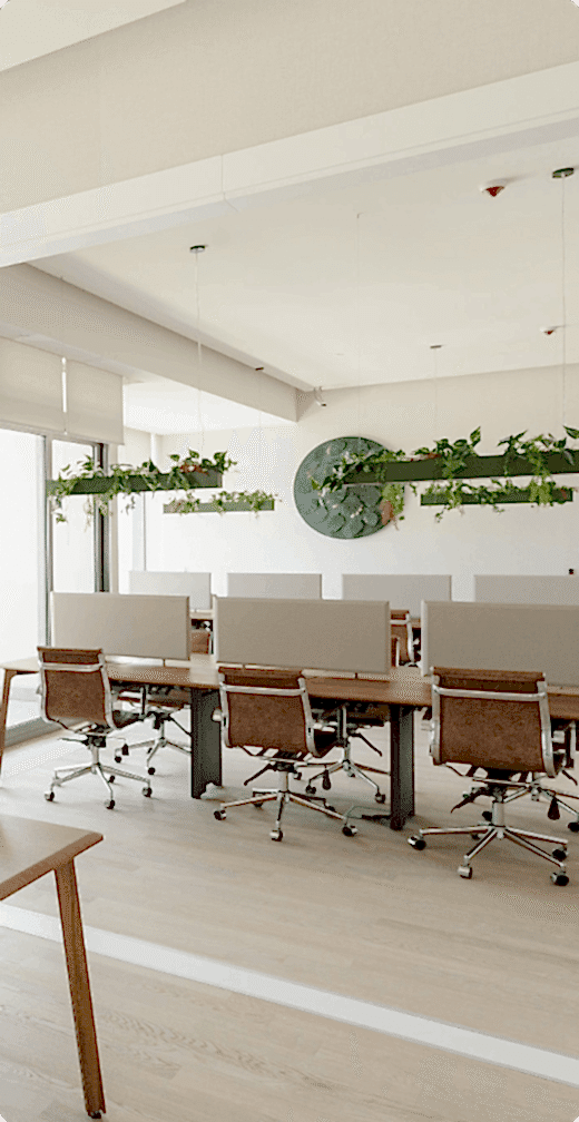 Kolektif House lokasyonlarının yarım ekran görünümü