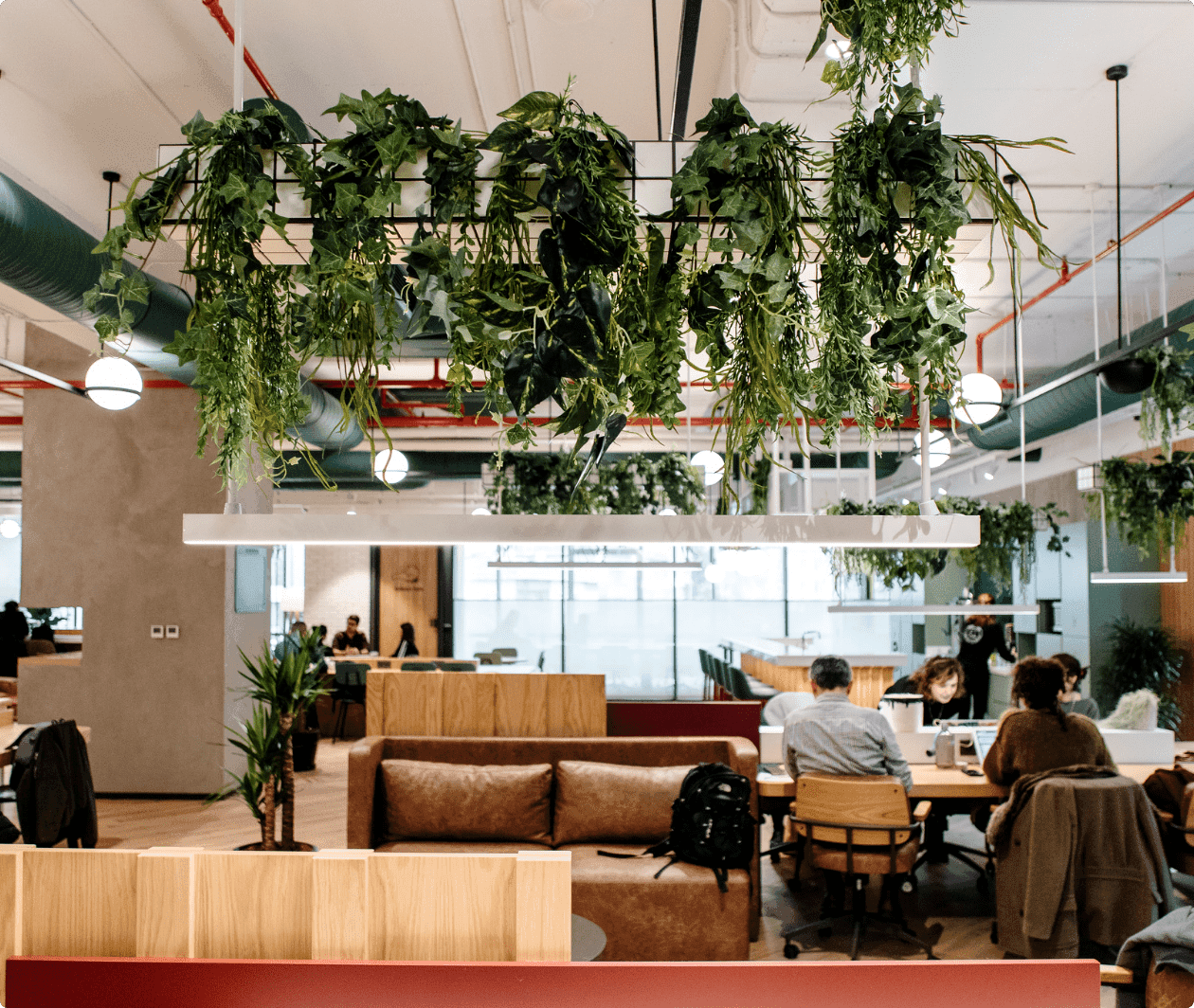 Kolektif Ailesi’nin Anadolu yakasındaki ilk evi.