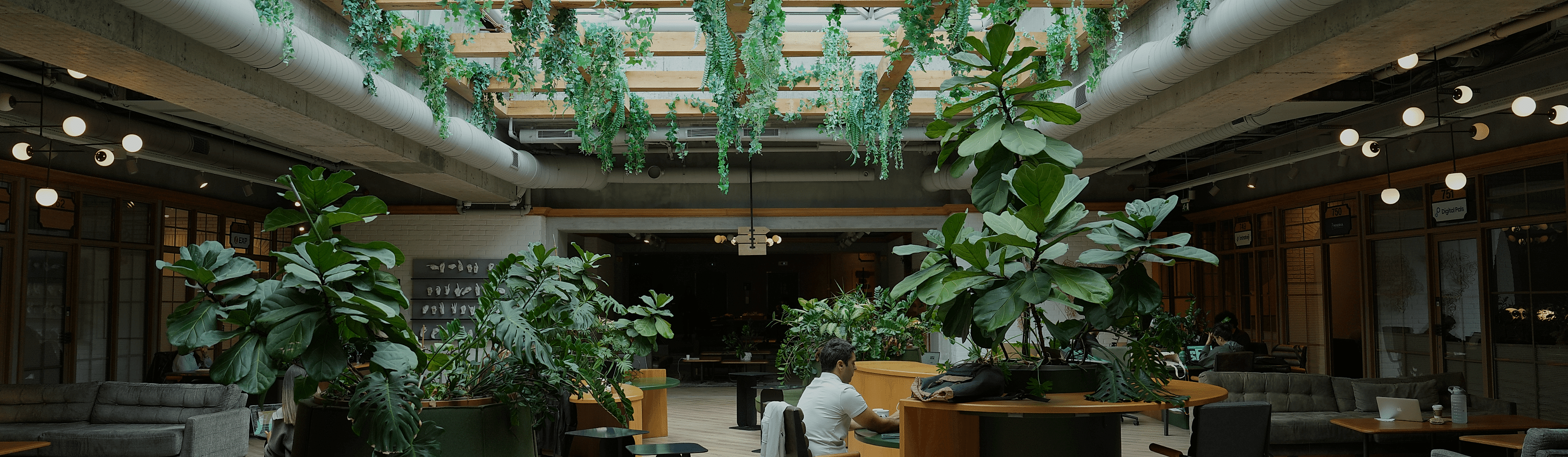 Kolektif House İşbirliği 1